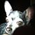 Penny Helms's profile image