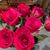 Teresa Winterton's profile image