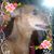 Mardy Johnson Cutrara's profile image