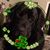 Diane E Kitchen-Flem's profile image