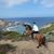 Lisa Harwell Pepitone's profile image