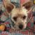 Sue Luna Barkley's profile image