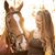 Kate Howe's profile image