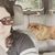 Jena Brignola's profile image