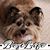 Sheryl Weaver's profile image