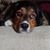Lori Maynard's profile image