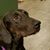Clair Erickson's profile image