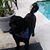 Susan Levine's profile image