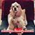 Daisy R. Landas's profile image