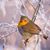 Gail Weir's profile image