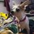 Cheryl DeWitt's profile image