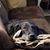 Lynn-Ann Morrill's profile image