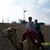 Joyce Gullett's profile image