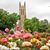 Gene N Susan Thompson's profile image