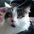Buffy Fuzzbutt's profile image