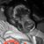 Anne Schlink McCoy's profile image