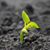 Brenda Clark Brinson's profile image
