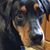 Kari Luther's profile image