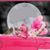 Karen L Gibson's profile image