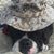 Kevin Murphy's profile image