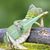 Jeff Brooks's profile image