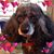 Cathy Wright-Eichholz's profile image