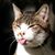 Jackson Kendall's profile image