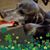 Cathy Ellison's profile image