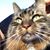 Kim Revels's profile image