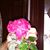 Maria Hernandez's profile image