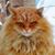 Catherine Flynn's profile image