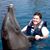 Nancy Bell's profile image