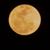 Bryon Stockwell's profile image