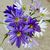 Kathryn Baker Feagins's profile image