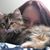Amber Dawn's profile image