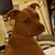 Rita Perez's profile image