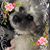 Lisa Morales Halverson's profile image