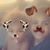 Kathleen Morris Lenoy's profile image