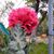 Reta D. Killingsworth's profile image