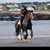 Sheelagh Johnston's profile image
