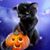 Amy Henner's profile image