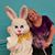 Rhonda Neuberger's profile image