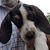 Bill Powell's profile image