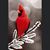 Karen Broman's profile image