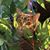 Melinda Dearing Studt's profile image