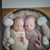 Susan Lusignan's profile image