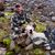 Michael Wilcox's profile image