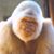 Michael Verdon's profile image
