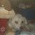 Ann Stevens's profile image