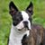 Bev Runyan's profile image